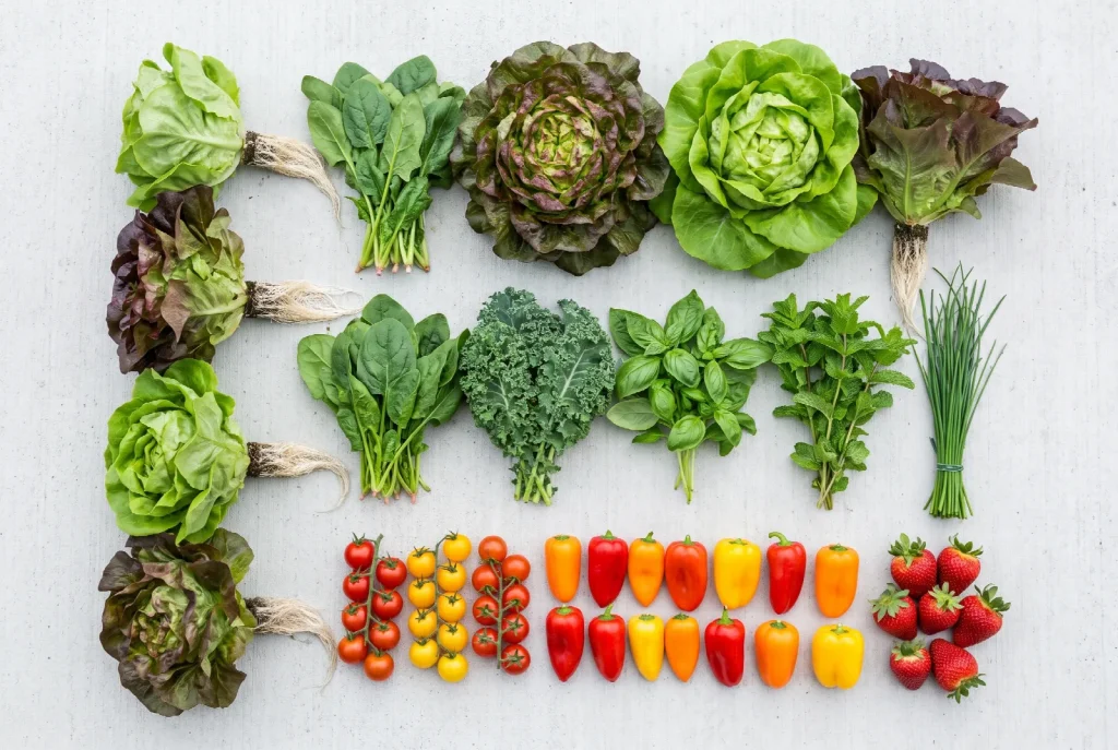 An overhead arrangement of hydroponically grown produce in rows: lettuces with roots attached, spinach, kale, basil, mint, chives, cherry tomatoes, small peppers and strawberries.
