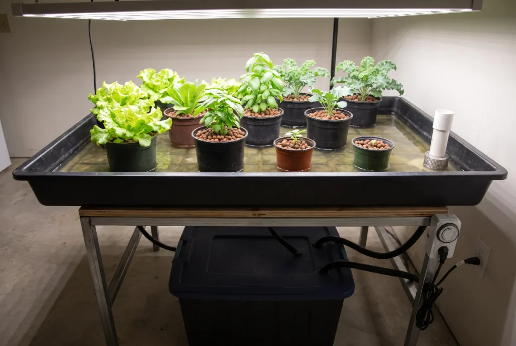 An ebb and flow tray part-flooded with nutrient solution around pots of leafy greens and herbs, with a standpipe overflow and a reservoir and timer below the stand.